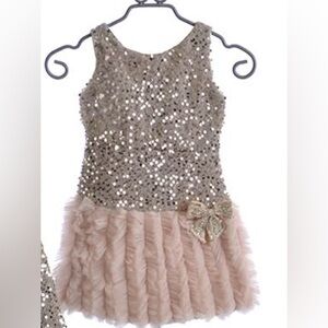 Le Pink Girls Pink 6X Boutique Tulle Layered Tiered Fairy Trapeze Dress